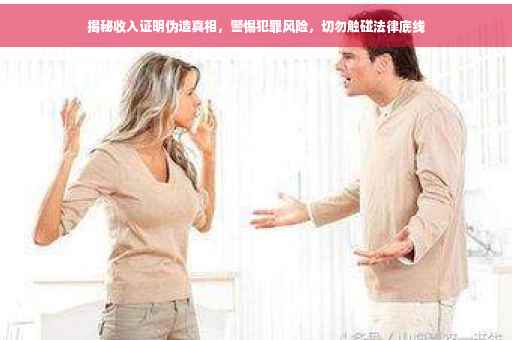 揭秘收入证明伪造真相，警惕犯罪风险，切勿触碰法律底线