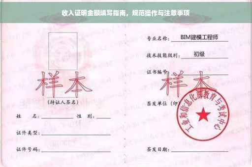 收入证明金额填写指南，规范操作与注意事项