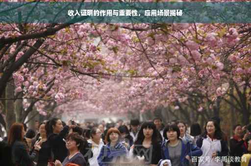 收入证明的作用与重要性，应用场景揭秘