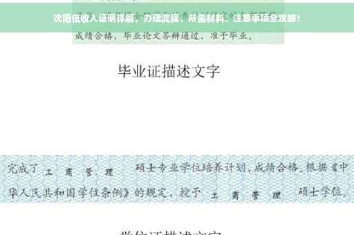 沈阳低收入证明详解，办理流程、所需材料、注意事项全攻略！