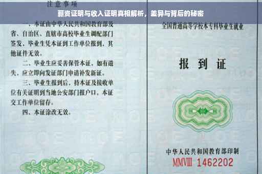 薪资证明与收入证明真相解析，差异与背后的秘密