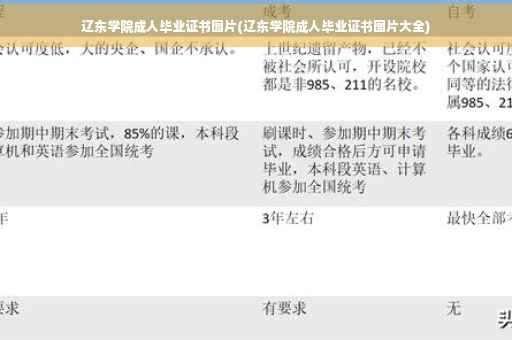 辽东学院成人毕业证书图片(辽东学院成人毕业证书图片大全)