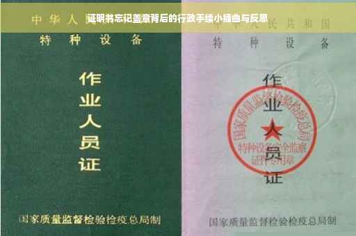 证明书忘记盖章背后的行政手续小插曲与反思