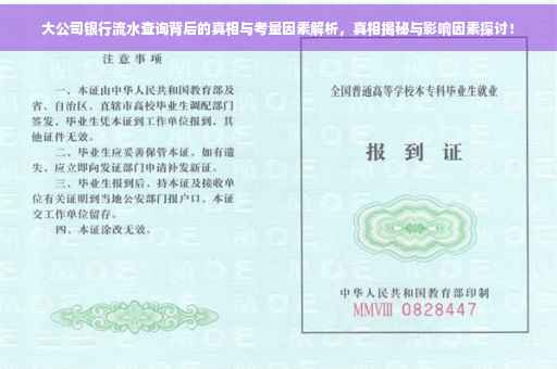 大公司银行流水查询背后的真相与考量因素解析，真相揭秘与影响因素探讨！