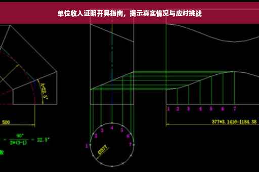 单位收入证明开具指南，揭示真实情况与应对挑战