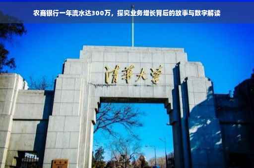 农商银行一年流水达300万，探究业务增长背后的故事与数字解读