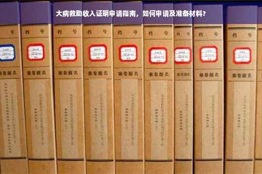 大病救助收入证明申请指南，如何申请及准备材料？