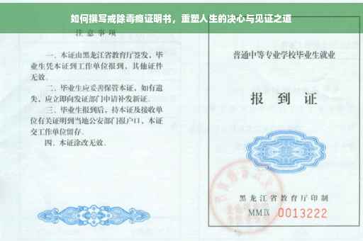 如何撰写戒除毒瘾证明书,重塑人生的决心与见证之道 如何撰写戒除毒瘾证明书,重塑人生的决心与见证之道