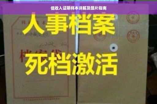 低收入证明样本详解及图片指南