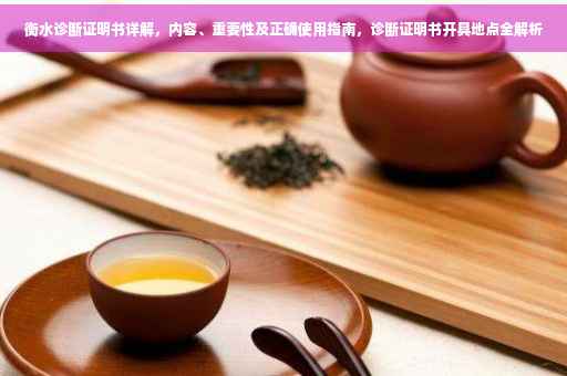 衡水诊断证明书详解，内容、重要性及正确使用指南，诊断证明书开具地点全解析