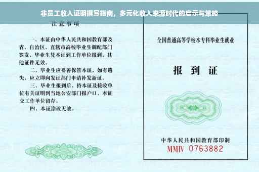 非员工收入证明撰写指南，多元化收入来源时代的启示与策略