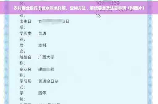 农村商业银行卡流水账单详解，查询方法、解读要点及注意事项（附图片）