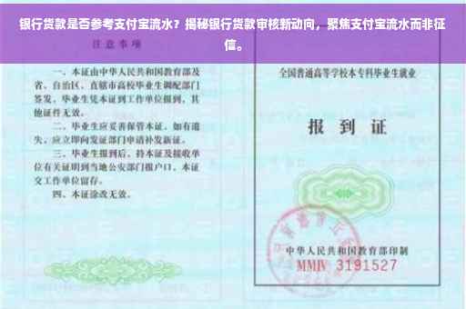 银行货款是否参考支付宝流水？揭秘银行货款审核新动向，聚焦支付宝流水而非征信。