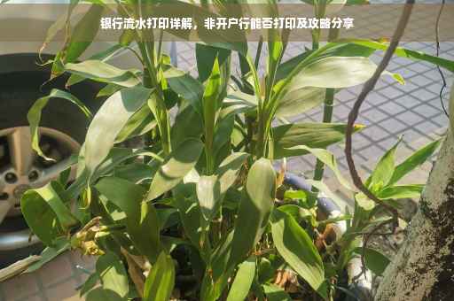 银行流水打印详解，非开户行能否打印及攻略分享