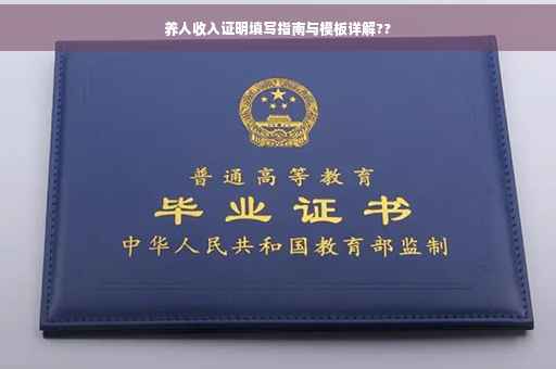 养人收入证明填写指南与模板详解??