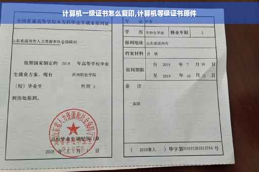 计算机一级证书怎么复印,计算机等级证书原件