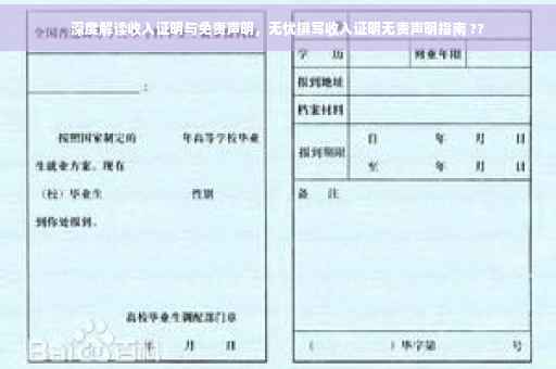 深度解读收入证明与免责声明，无忧撰写收入证明无责声明指南 ??