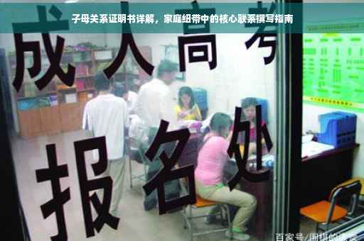 子母关系证明书详解，家庭纽带中的核心联系撰写指南