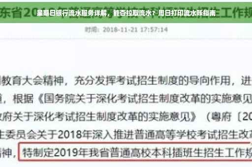 星期日银行流水服务详解，能否拉取流水？周日打印流水账指南