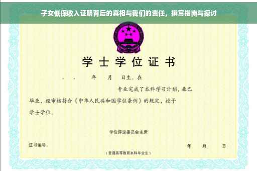 子女低保收入证明背后的真相与我们的责任，撰写指南与探讨