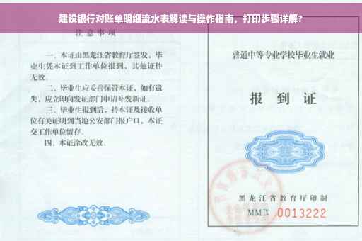 建设银行对账单明细流水表解读与操作指南，打印步骤详解?