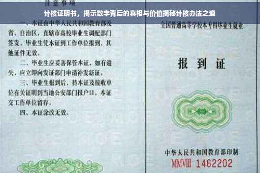 计核证明书，揭示数字背后的真相与价值揭秘计核办法之道