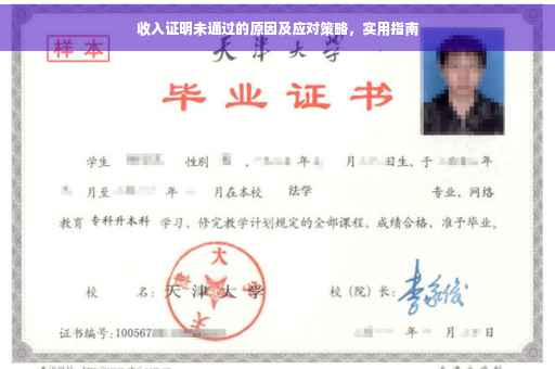 收入证明未通过的原因及应对策略，实用指南