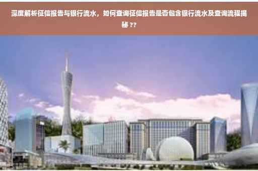 深度解析征信报告与银行流水，如何查询征信报告是否包含银行流水及查询流程揭秘 ??