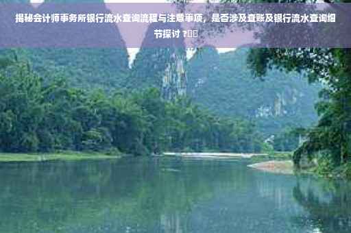 揭秘会计师事务所银行流水查询流程与注意事项，是否涉及查账及银行流水查询细节探讨 ?⚡️