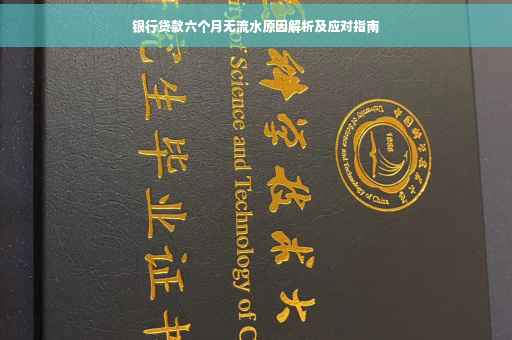 银行贷款六个月无流水原因解析及应对指南