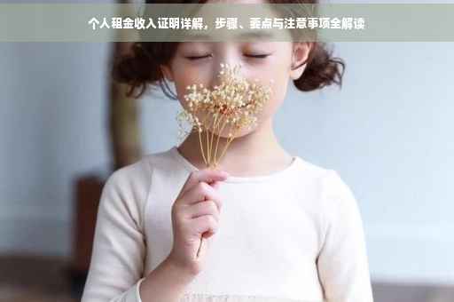 个人租金收入证明详解，步骤、要点与注意事项全解读