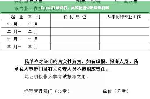 Excel打证明书，高效便捷证明管理利器