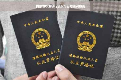 内蒙古农业银行流水与行号查询指南