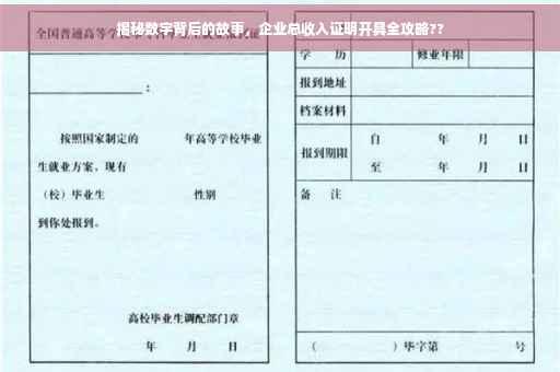 揭秘数字背后的故事，企业总收入证明开具全攻略??