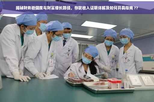 揭秘财务稳健度与财富增长路径，存款收入证明详解及如何开具指南 ??