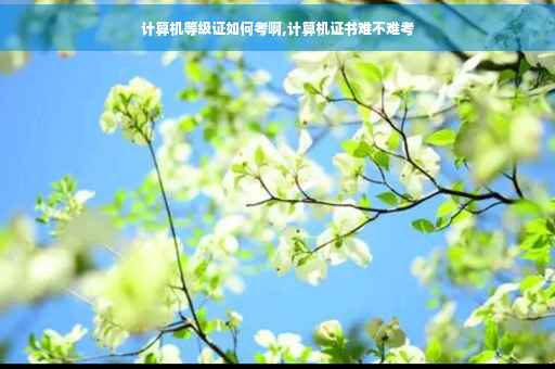 计算机等级证如何考啊,计算机证书难不难考