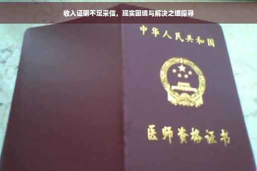 收入证明不足采信，现实困境与解决之道探寻