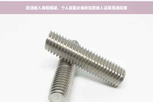 职场收入真相揭秘，个人发展必备的在职收入证明用途指南