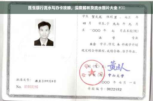 民生银行流水与办卡攻略，深度解析及流水图片大全 ?⚡️