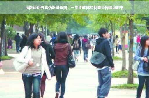 保险证明书真伪识别指南，一步步教你如何查证保险证明书