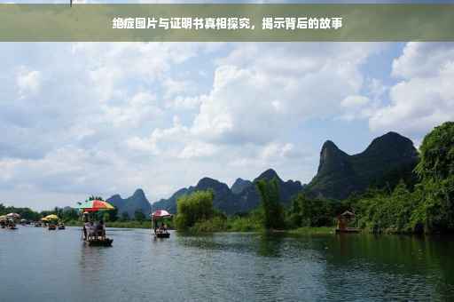 绝症图片与证明书真相探究，揭示背后的故事