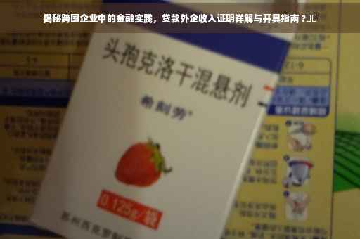 揭秘跨国企业中的金融实践，贷款外企收入证明详解与开具指南 ?⚡️
