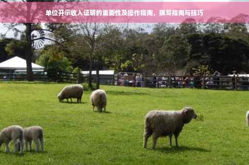 单位开示收入证明的重要性及操作指南，撰写指南与技巧