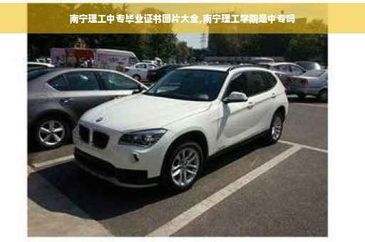 南宁理工中专毕业证书图片大全,南宁理工学院是中专吗