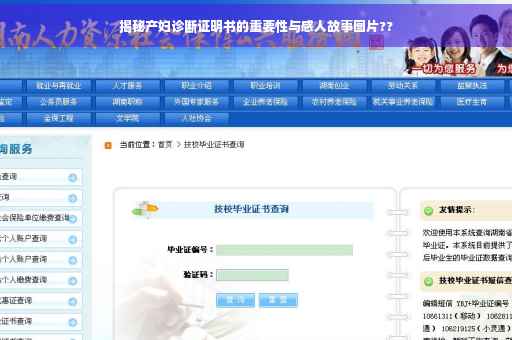 揭秘产妇诊断证明书的重要性与感人故事图片??