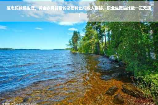 范志毅球场生涯，黄金岁月背后的辛勤付出与收入揭秘，职业生涯进球数一览无遗！