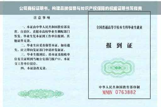 公司商标证明书，构建品牌信誉与知识产权保障的权威证明书写指南