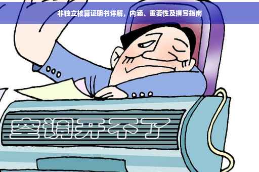 非独立核算证明书详解，内涵、重要性及撰写指南