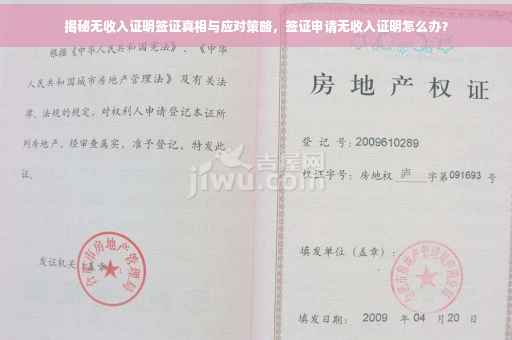 揭秘无收入证明签证真相与应对策略，签证申请无收入证明怎么办？