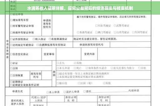 水滴筹收入证明详解，探究公益背后的经济现实与核实机制